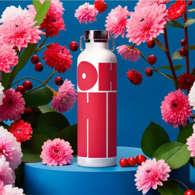 Modern Personalisierter Text OH HI Rosa Farbe Trinkflasche (Modern personalized pink color text water bottle)