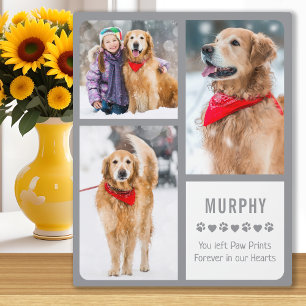 Modern Pet Memorial Keepsake Dog Foto Collage Fotoplatte