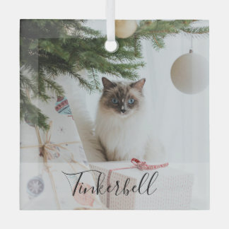 Modern Simple Classic at Name and Pet Photo Ornament Aus Glas