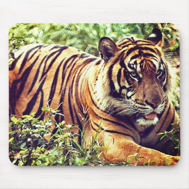 Modern Sumatran Tiger Mousepad (Vorne)
