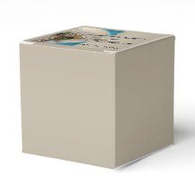 Modern Taupe Aqua Peacock Feather Gastgeschenk Hoc