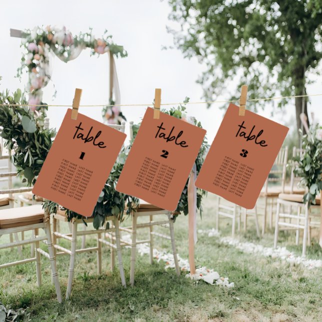 Modern Terracotta Hochzeitstorte Tischnummer (Terracotta wedding seating chart cards
)