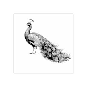 Modern Trendy Peacock Gummistempel