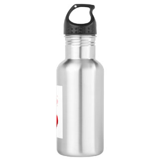 Modern Water Bottle Collection – Gym, Travel & Eve Edelstahlflasche