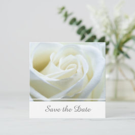 Modern White Rose Save The Date