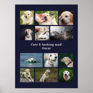 Moderne 12 Hunde Foto personalisierte Collage Poster
