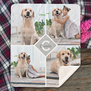 Moderne 4er-Foto-Collage Haustier Hund Sherpadecke