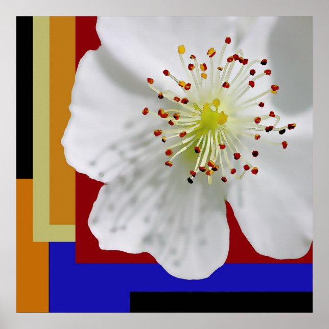 Moderne abstrakte Blumenfeinbildkunst der Frühling Poster (Vorne)