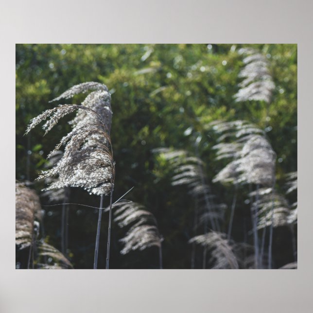 Moderne abstrakte botanische Kunst – Naturformen Poster (Vorne)