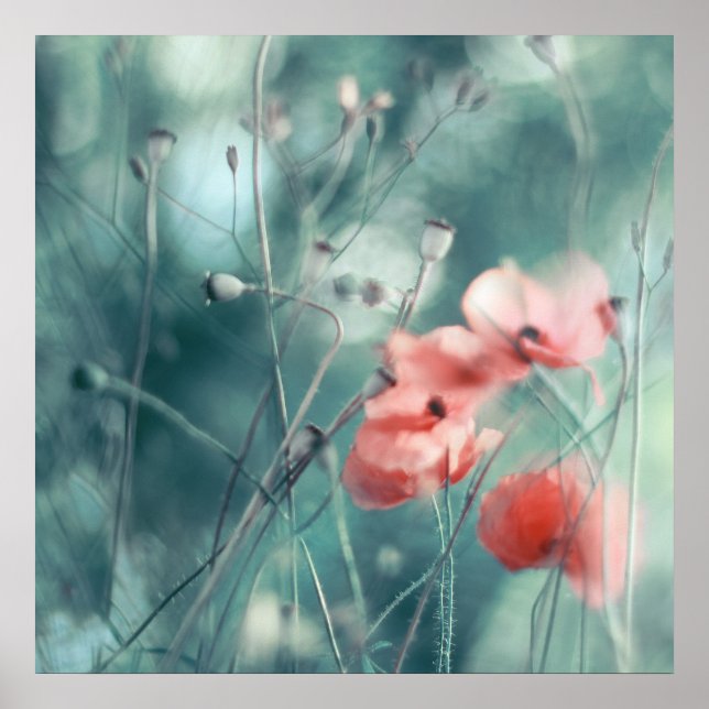 Moderne Abstrakte Dreamy Pink Aquamarine Poppies f Poster (Vorne)