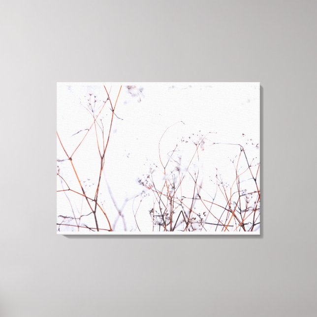 Moderne Abstrakte Winter-Wildblumen im Schnee Leinwanddruck (Vorderseite)