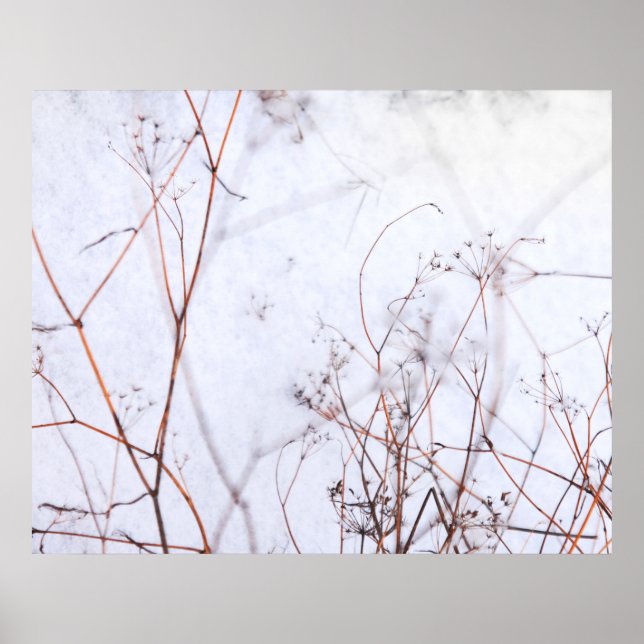 Moderne Abstrakte Winter-Wildblumen im Schnee Poster (Vorne)
