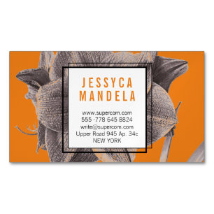 Moderne Amaryllis-Blume Orange Magnetische Visitenkarte
