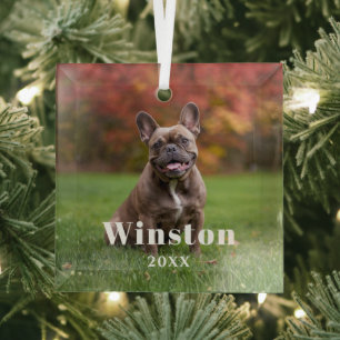 Moderne benutzerdefinierte Tiername Jahres Foto Ur Ornament Aus Glas