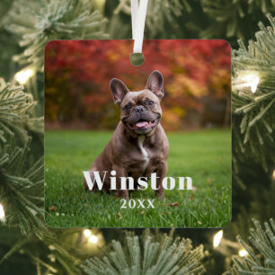 Moderne benutzerdefinierte Tiernamen-Jahres-Foto-F Ornament Aus Metall