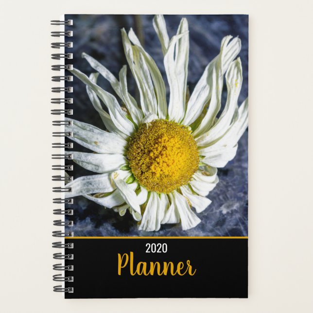 Moderne Besondere Anlass der White Daisy-Blume Planer (Vorderseite)