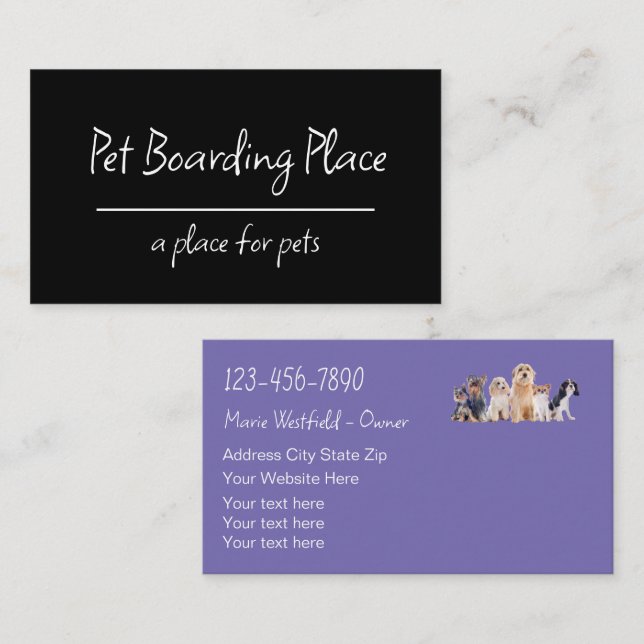 Moderne Boarding Business Cards Visitenkarte (Vorne/Hinten)