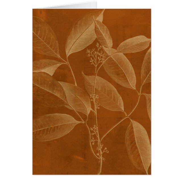 Moderne Botanik VI (Vorne)