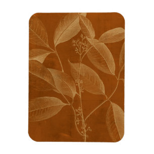 Moderne Botanik VI Magnet