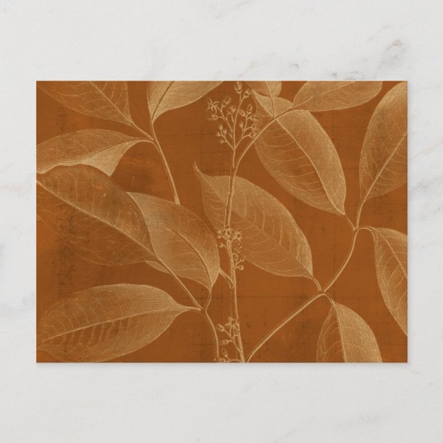 Moderne Botanik VI Postkarte (Vorderseite)