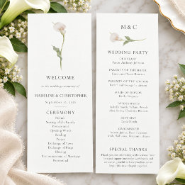 Moderne Calla-Lilien-Hochzeitsprogramm Botanik