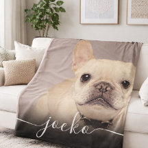 Moderne einfache elegante schicke Pet-Foto-Textges