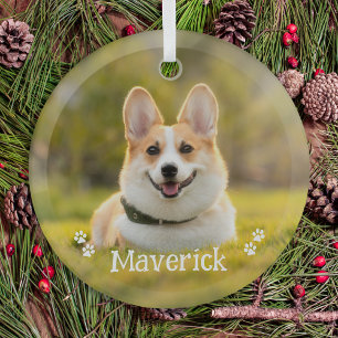 Moderne einfache stilvolle personalisierte Hund Fo Ornament Aus Glas
