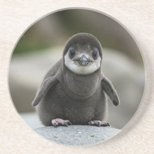 Moderne einfache weiße Marmor-Rustic-Papier-Unters Getränkeuntersetzer