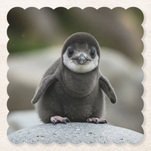 Moderne einfache weiße Marmor-Rustico-Papierset fü Untersetzer