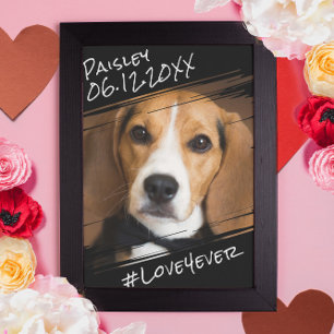 Moderne elegante einfache schwarze Andenken für Hu Poster