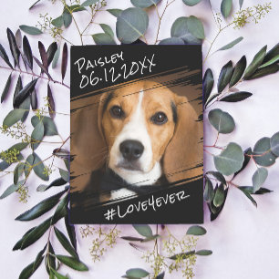 Moderne elegante einfache schwarze Andenken für Hu Postkarte