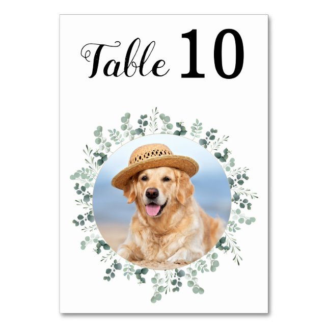 Moderne Elegante Eukalyptus Custom Foto Wedding Tischnummer (Vorderseite)