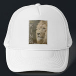 Moderne Elegante Pop Art Lion Kopf The King Templa Truckerkappe<br><div class="desc">Moderner Pop Art Lion Kopf der King Template White Baseball Trucker Hut.</div>