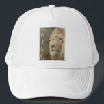 Moderne Elegante Pop Art Lion Kopf The King Templa Truckerkappe<br><div class="desc">Moderner Pop Art Lion Kopf der King Template White Baseball Trucker Hut.</div>