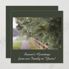 Moderne, elegante, schimmernde Evergreen Needles G Feiertagskarte