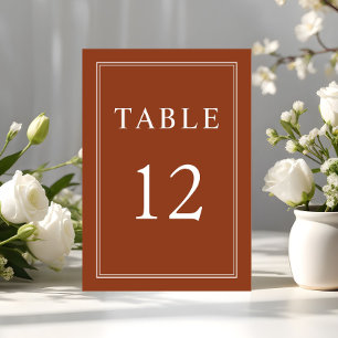 Moderne elegante Terrakotta-Hochzeit  Tischnummer