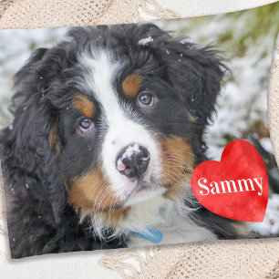 Moderne elegante Tierfotos Personalisierte Hundeli Fleecedecke