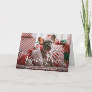 Moderne elegante Weihnachtsfotos mit Hundename Feiertagskarte