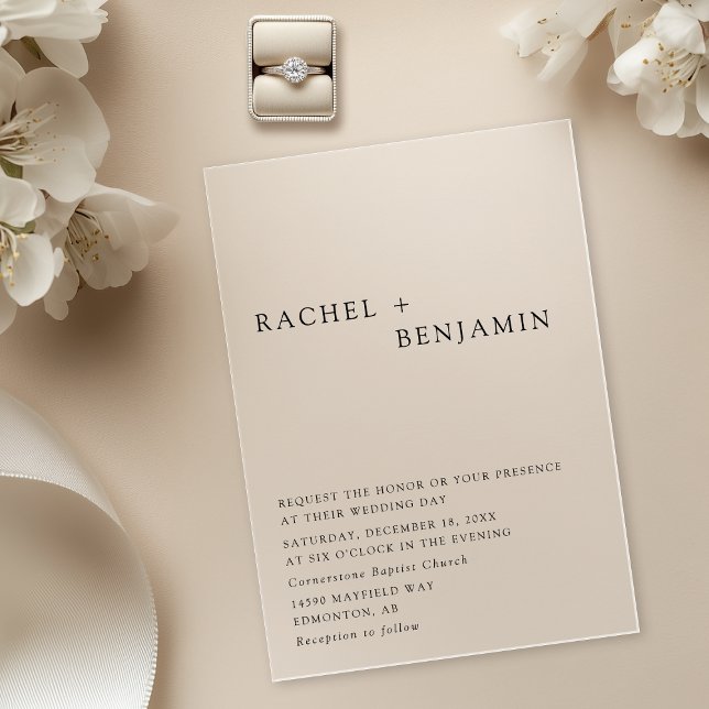 Moderne Elegante zeitlose Minimalistische Klassik Acryleinladungen (Von Creator hochgeladen)