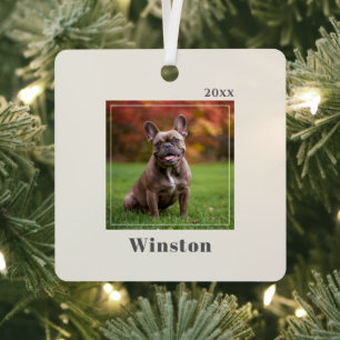 Moderne Elfenbein-Pet-Name-Foto Ornament Aus Metall