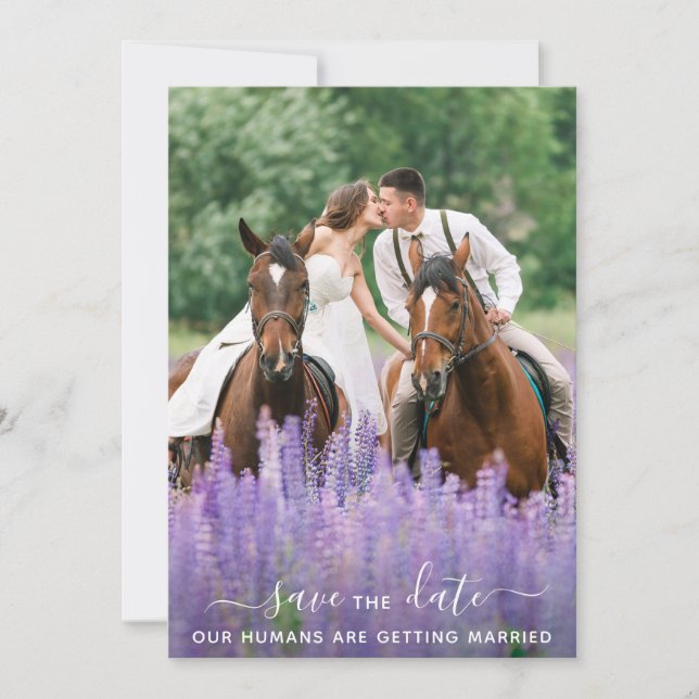 Moderne Equine Personalisiert Pet Foto Save The Date (Vorderseite)