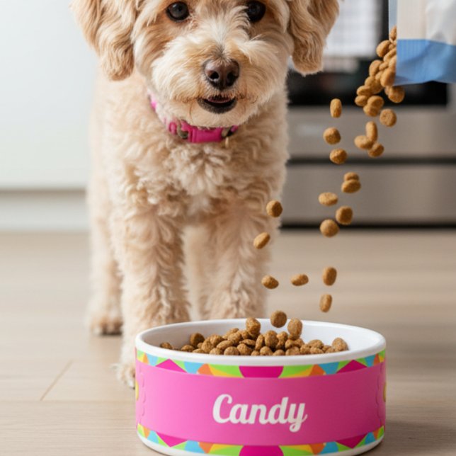 Moderne farbenfrohe Retro geometrische Keramik Pet Napf (Designed for tail wags and happy chomps. Spoil your pet toady, she will love you for it.)