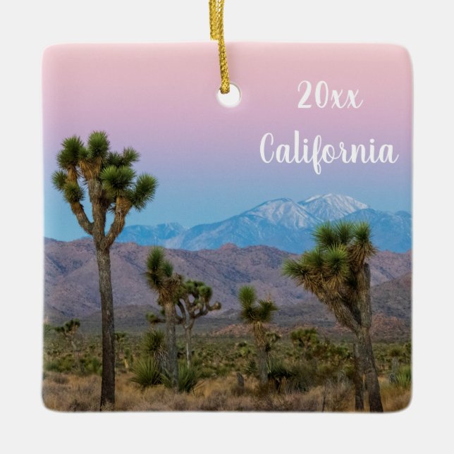 Moderne farbenfrohe Rosa und Blauer Joshua Tree So Keramikornament (Vorderseite)