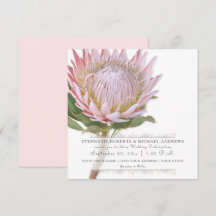 Moderne, florale Elegant Einfache rosa Protea Blum