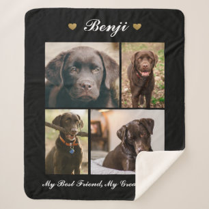 Moderne Foto Collage Meilenstein Keepake Hunde Kat Sherpadecke