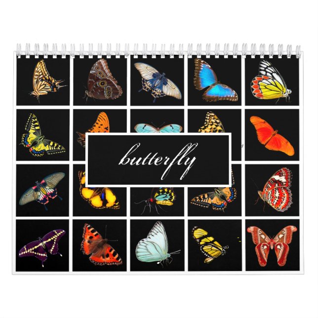 Moderne Fotografie Butterfly Kalender (Titelbild)