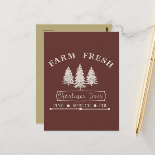Moderne frische Weihnachtstannen auf dem Bauernhof Postkarte
