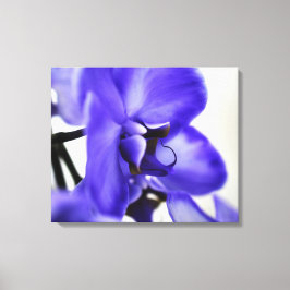 Moderne Galerie-Leinwand – Elegante Kunst Leinwanddruck