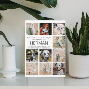 Moderne Gedenkplakette für Haustiere als Fotocolla Fotoplatte