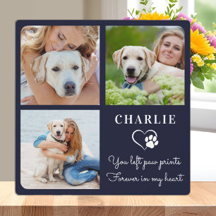Moderne Gedenkstätte für Hunde, individuelle Colla Fotoplatte